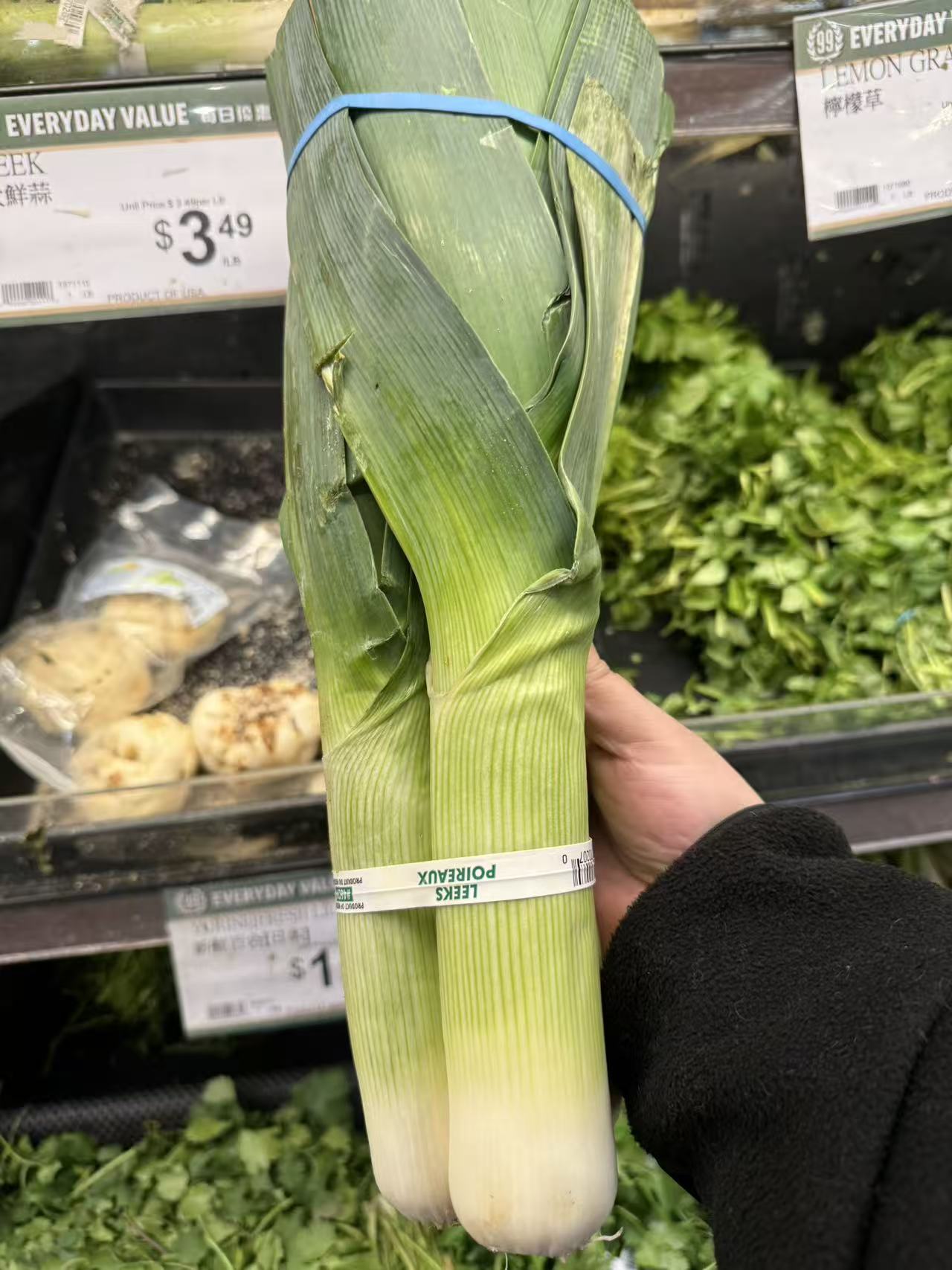 Tender garlic sprouts