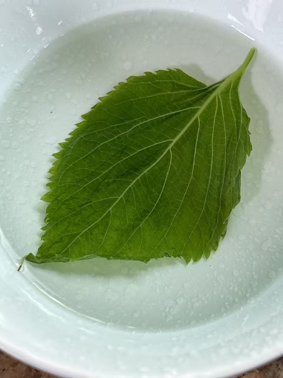 Perilla leaves after boiling